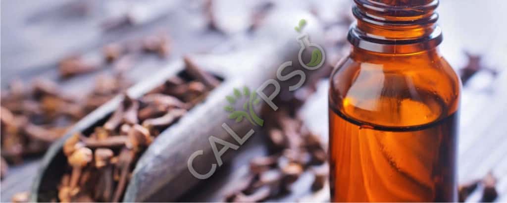 Comprar clavo de aceite esencial natural